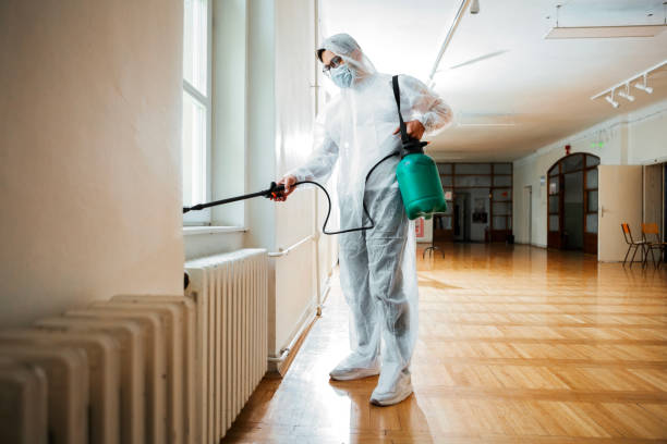 Best Local Pest Control Services  in Spring, TX