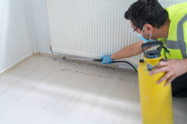 Best Emergency Pest Control  in Spring, TX