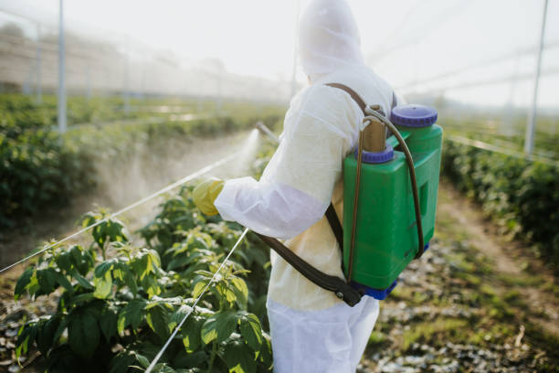 Best Pest Control Near Me  in Spring, TX